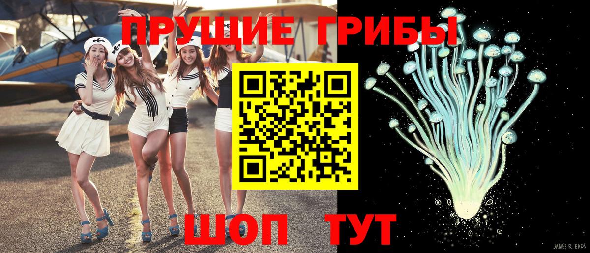 Псилоцибиновые грибы GOLDEN TEACHER Татарск